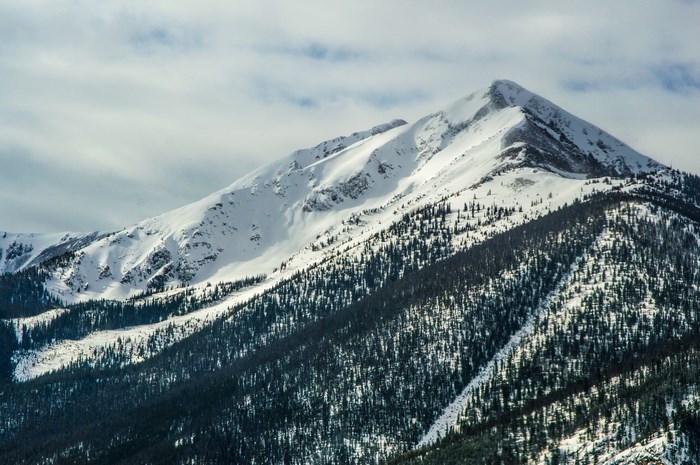 Snow-covered mountain peak with evergreen forest