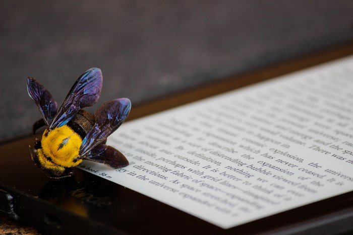 Bumblebee on a Kindle e-reader
