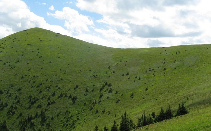 Green mountain slope with scattered trees under a cloudy sky