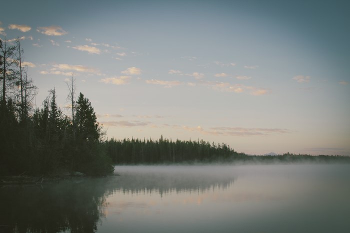 Misty lake at dawn with forest reflection