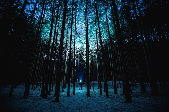 Person with flashlight in a snowy forest at night