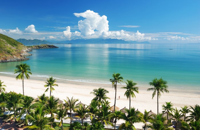 Tropical beach with palm trees and turquoise sea