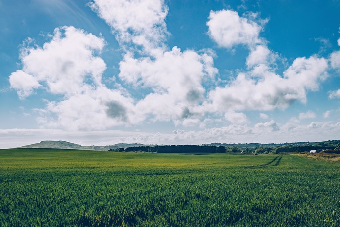 Green field under a cloudy sky
