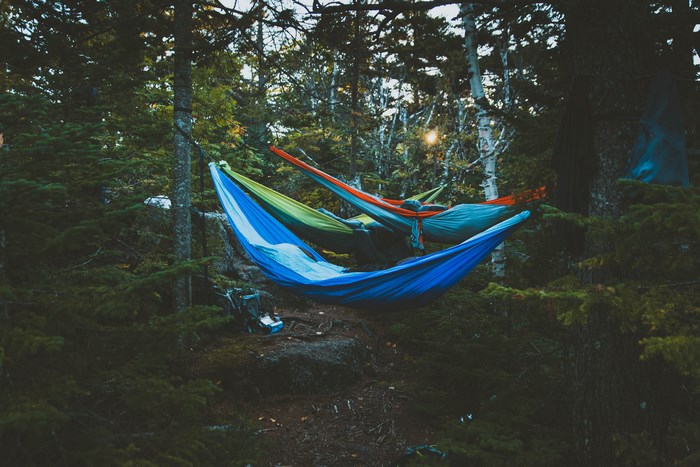 Three hammocks strung between trees in a forest