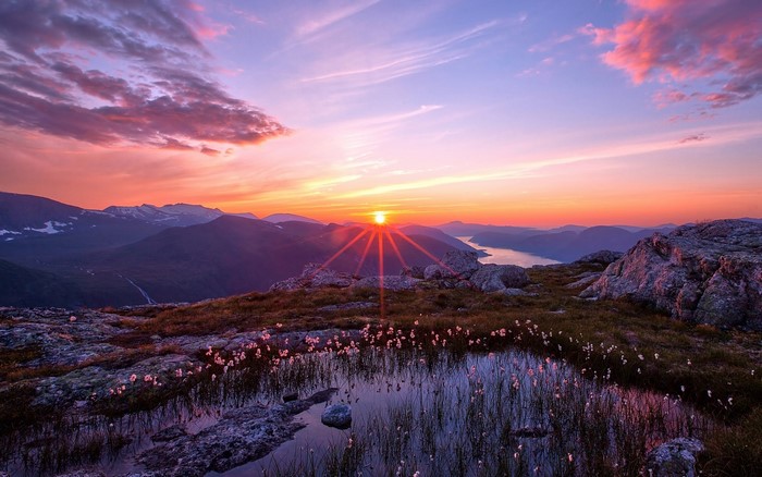 Sunset over mountains with a lake and flowers