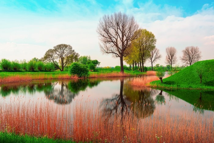 Spring landscape with river and trees in England