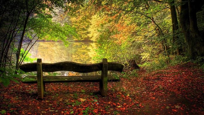Autumn Bench by the Tranquil Lake