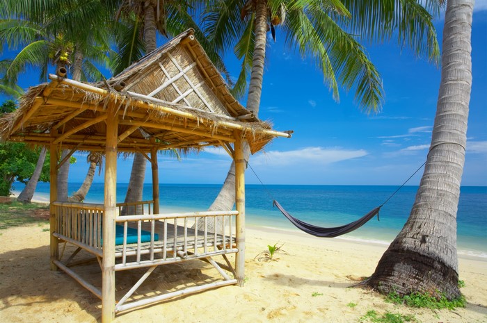 Tropical Beach with Bamboo Bungalow and Hammock