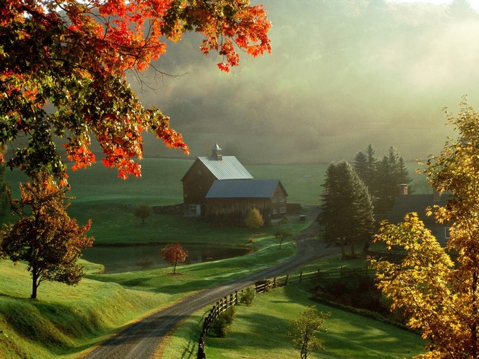 Autumn farm with barn and pond in fog
