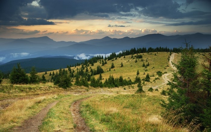 Mountain road with fir trees and cloudy sky