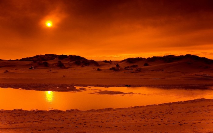 Sunset Over a Desert Oasis