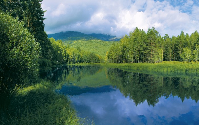 River flowing through a forest with hills in the background