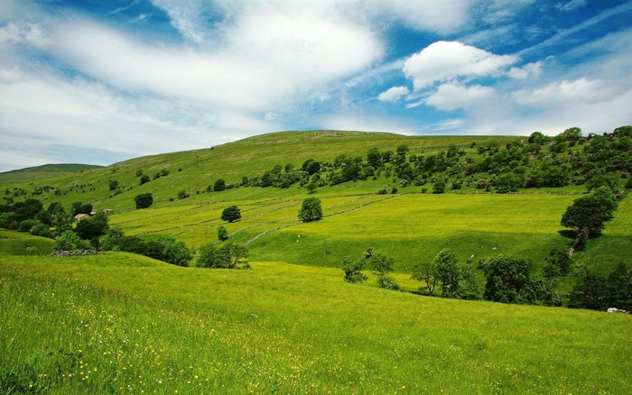 Green valley with rolling hills and blue sky
