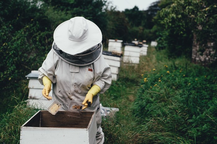 Beekeeper in protective suit working with beehives