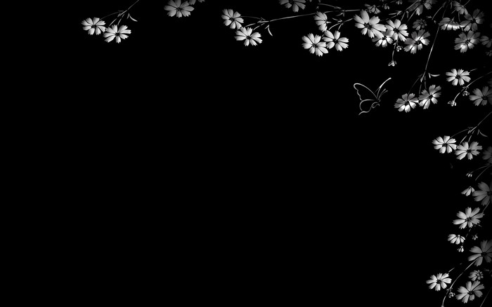 Butterfly and flowers on black background