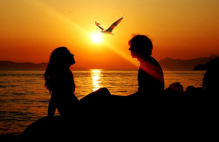 Couple and bird silhouetted against a sunset over the sea