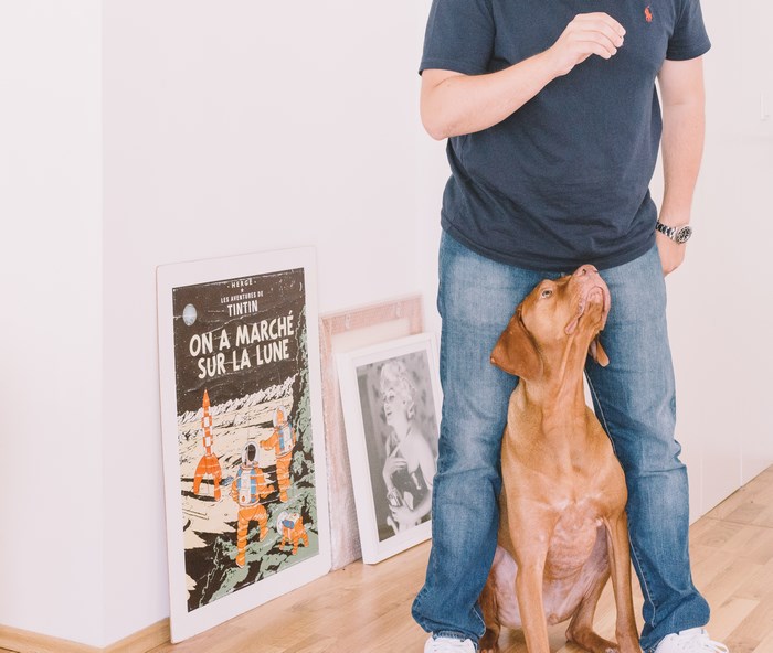 Man and dog looking up at a poster