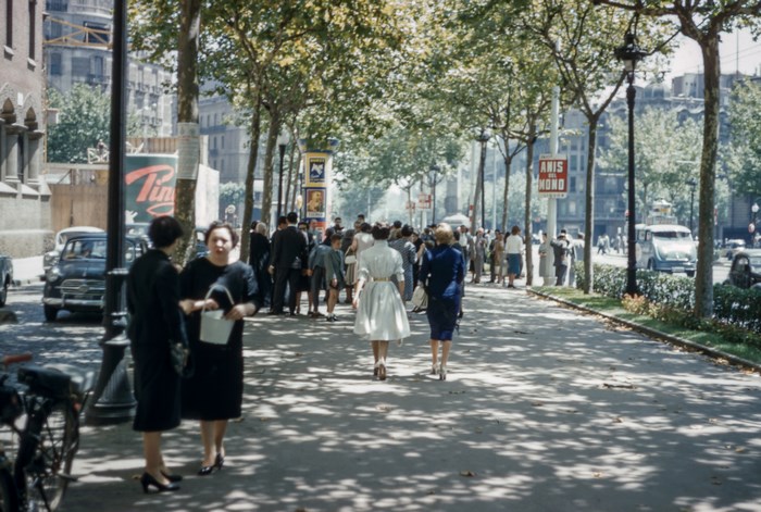 People walking on a tree-lined street with vintage cars
