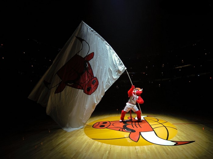 Chicago Bulls mascot holding a large flag