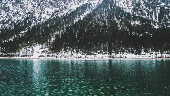 Snow-covered mountain forest by a lake