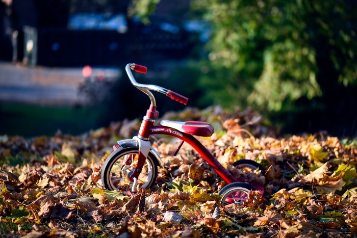 Red Radio Flyer Tricycle in Autumn Leaves
