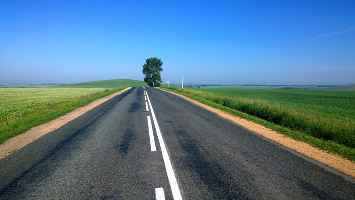 Open road with a lone tree and green fields