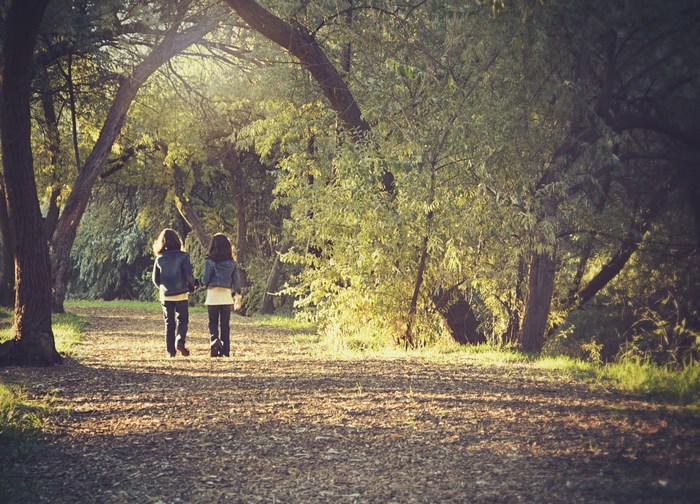 Two children walking on a path in a forest