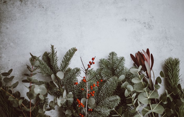 Christmas tree branches with berries and eucalyptus