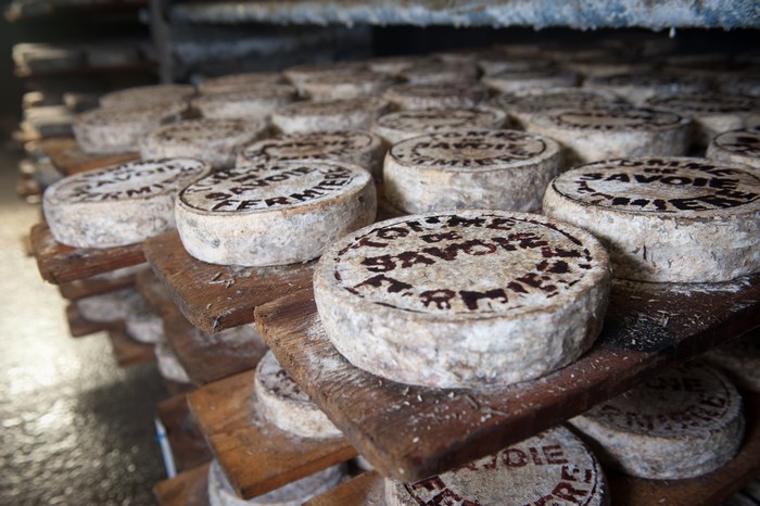 Artisan cheese wheels on wooden shelves in France