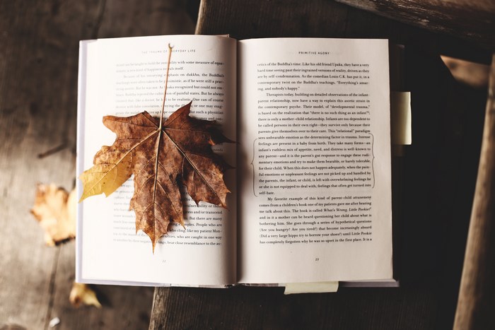 Open book with maple leaf on wooden surface