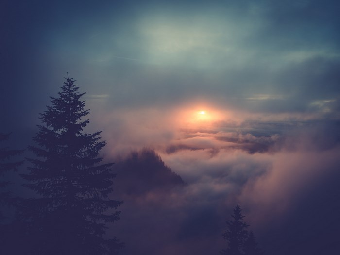 Sunset over clouds in a German mountain forest