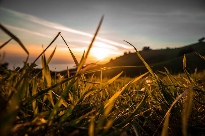 Sunrise over a grassy hill with sunrays