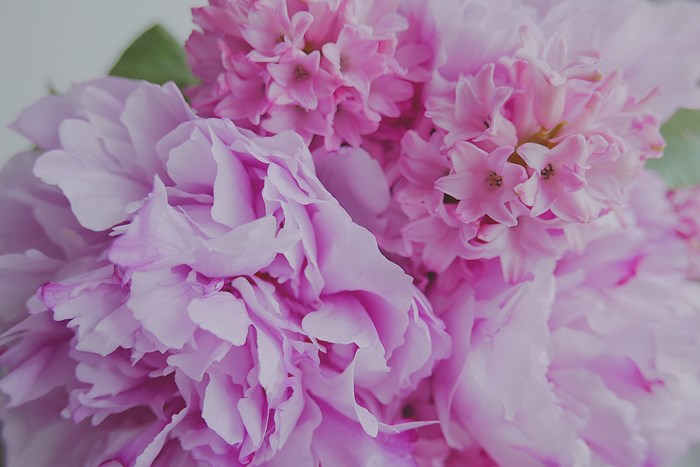 Pink peonies and hyacinths in a bouquet