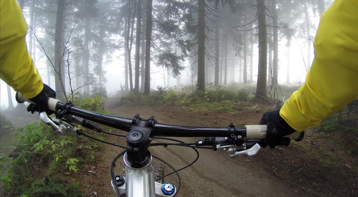 Mountain biking on a foggy forest path