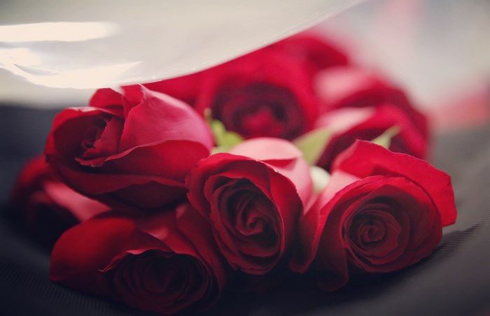 Bouquet of red roses with a plastic wrap