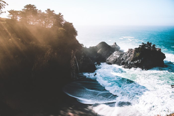 Sunlight streams through trees onto a rocky coastline with waves crashing.