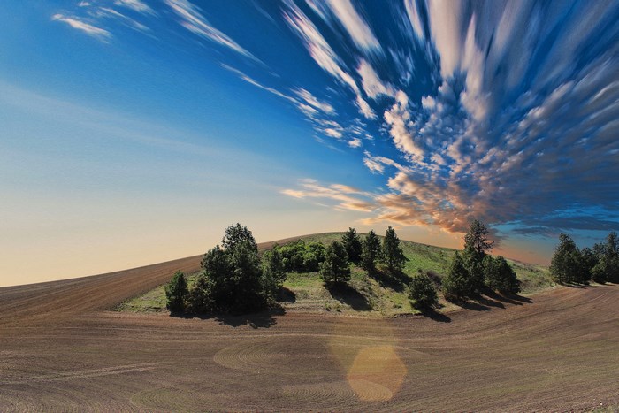 Contoured agricultural land with trees under a dramatic sky