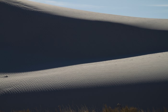 Sand dune with shadow and grass