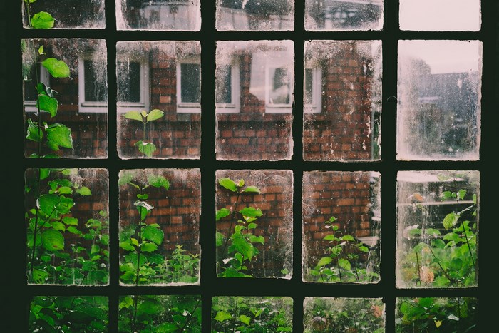 Dirty window panes with green plants and brick building