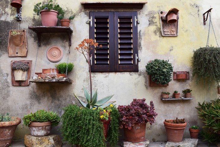 Rustic courtyard with potted plants and a wooden window