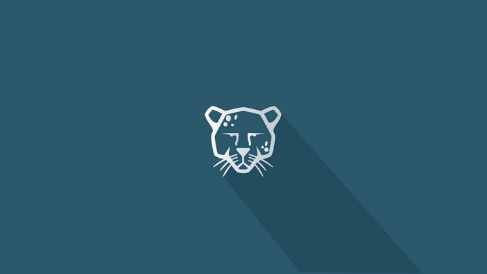 Pardus Linux Minimalist Logo