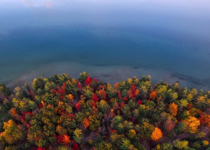 Colorful Autumn Forest and Calm Ocean from Above