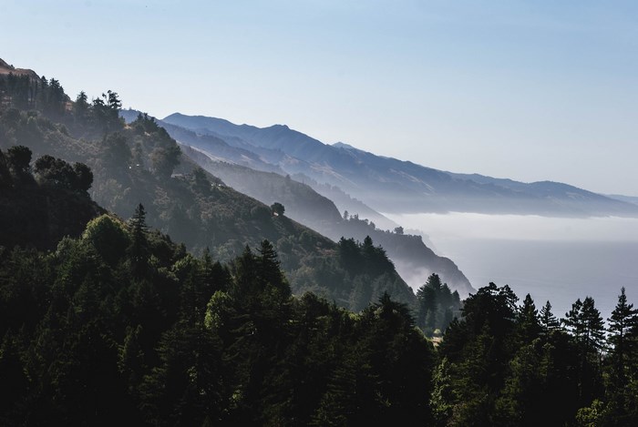 Misty mountains and forest overlooking the ocean