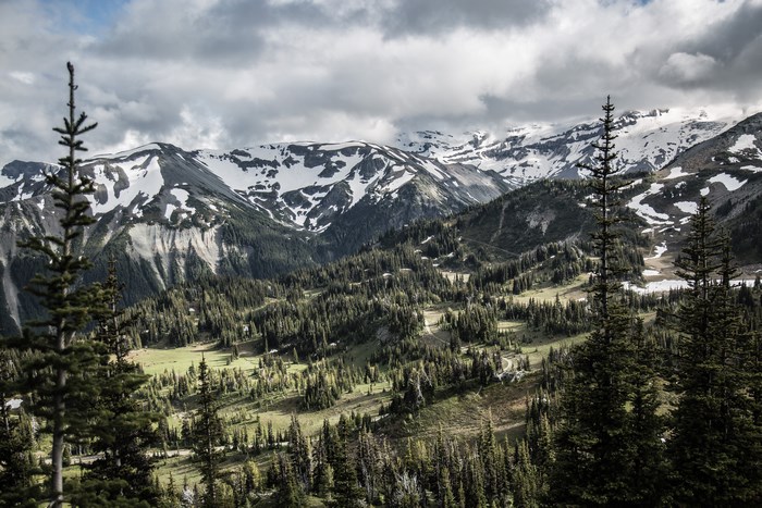 Snow-covered mountains and evergreen forest in Switzerland