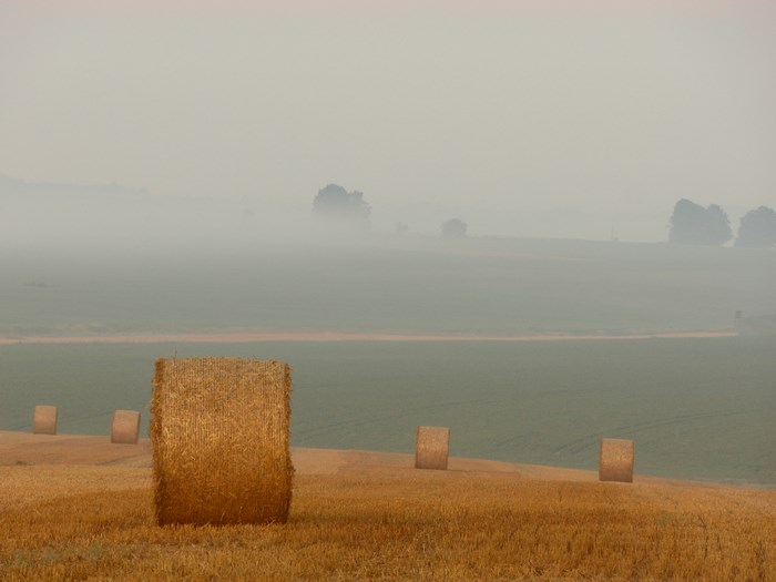 Hay bales in a misty field at harvest time