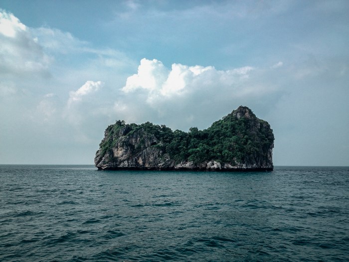 Rocky island covered in trees in the ocean
