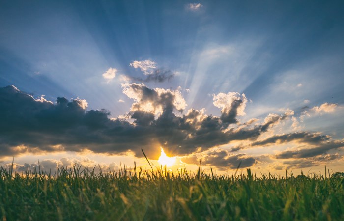 Sunset with sun rays over a grassy field