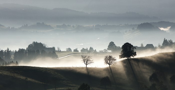 Misty hills with sun rays and trees