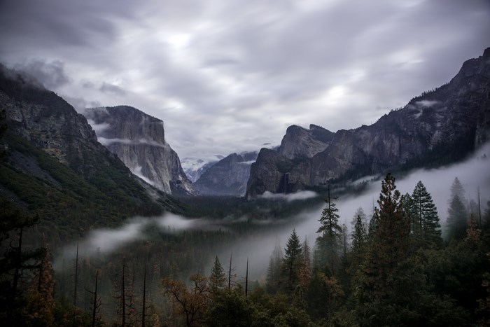 6016x4016 Fog Cloud Haze Rock Tree Forest Mist Yosemite Mood