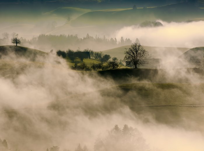 Misty morning landscape with rolling hills and trees